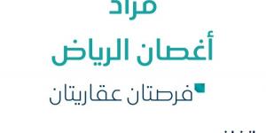 فرصتان عقاريتان .. مزاد عقاري جديد من شركة نزل السعودية للعقارات تحت إشراف مزادات إنفاذ - ترند نيوز