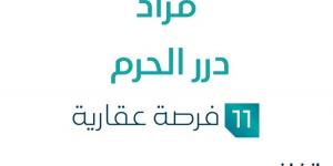 11 فرصة عقارية .. مزاد عقاري جديد من شركة هوية للمزادات تحت إشراف مزادات إنفاذ - ترند نيوز