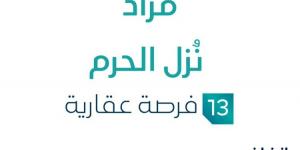 13 فرصة عقارية .. مزاد عقاري جديد من شركة السعدون العقارية تحت إشراف مزادات إنفاذ - ترند نيوز