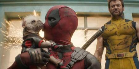 18:53
مشاهير عالمية

فيلم "Deadpool & Wolverine" يدخل التاريخ بعد دخوله هذه القائمة العالمية.. إليكم التفاصيل - ترند نيوز