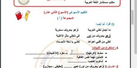 مراجعات نهائية.. أسئلة تقييم الاسبوع الـ 12 في اللغة العربية الصف الخامس الابتدائي - ترند نيوز