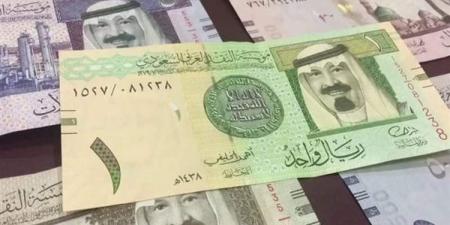 سعر الريال السعودي اليوم الجمعة 13-12-2024 في البنك المركزي المصري - ترند نيوز