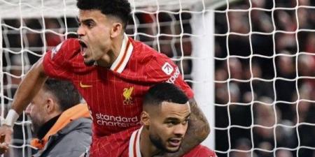 بمشاركة محمد صلاح.. ليفربول يتعادل مع فولهام 2-2 في الدوري الإنجليزي - ترند نيوز