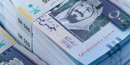 سعر الريال السعودي اليوم السبت 14 ديسمبر 2024 .. 13.51 جنيه للشراء - ترند نيوز