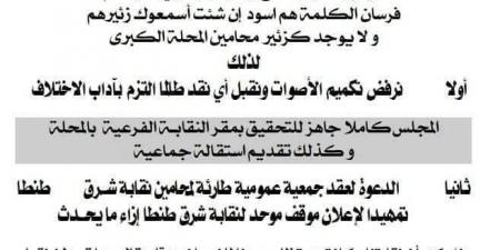 نرفض تكميم الأصوات.. محامين شرق طنطا ترد على علام بعد إحالته لعضو النقابة الفرعية - ترند نيوز