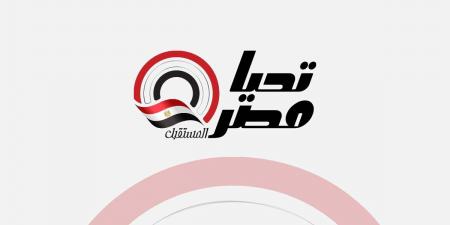 رئيس إفريقية النواب لـ تحيا مصر: هيئة الاعتماد والرقابة الصحية تستطيع العمل بدول القارة السمراء ..صور وفيديو - ترند نيوز