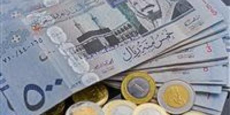 سعر الريال السعودى مقابل الجنيه المصري 16-12-2024