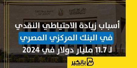 أسباب زيادة الاحتياطي النقدي في البنك المركزي المصري لـ 11.7 مليار دولار في 2024 - ترند نيوز