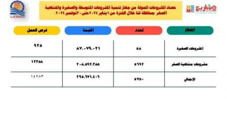 295 مليون جنيه لتمويل المشروعات الصغيرة ومتناهية الصغر خلال عام 2024 في قنا - ترند نيوز