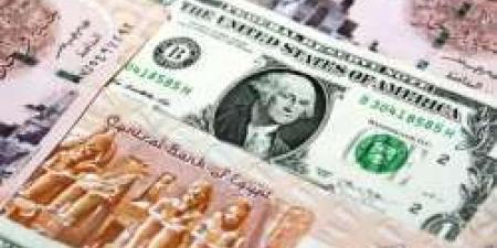 سعر الدولار في البنوك المصرية اليوم الجمعة 20 ديسمبر 2024 - ترند نيوز