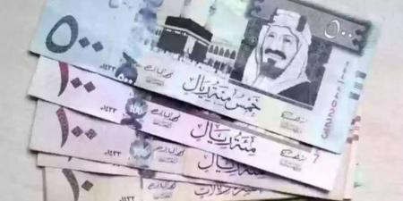 سعر الريال السعودي مقابل الجنيه المصري اليوم الجمعة 20 ديسمبر 2024 - ترند نيوز