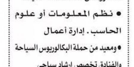 التفاصيل كامله.. المعهد العالي للدراسات النوعية يعلن حاجته إلى أعضاء هيئة التدريس.. وظيفة جامعه - ترند نيوز