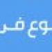 «بيلبس هدومه».. شاب يقتل شقيقه طعنا في أوسيم - ترند نيوز