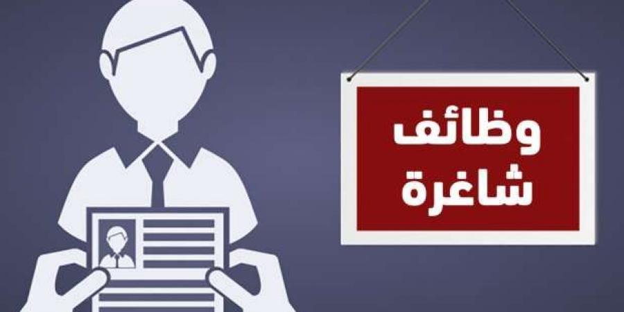 وظائف خالية للمؤهلات العليا برواتب مجزية وبدلات.. طريقة التقديم - ترند نيوز