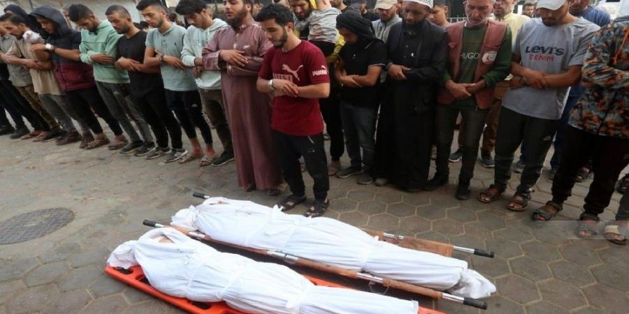 حكومة غزة:أكثر من 770 شهيدا في جباليا المخيم والبلد خلال 19 يوما - ترند نيوز