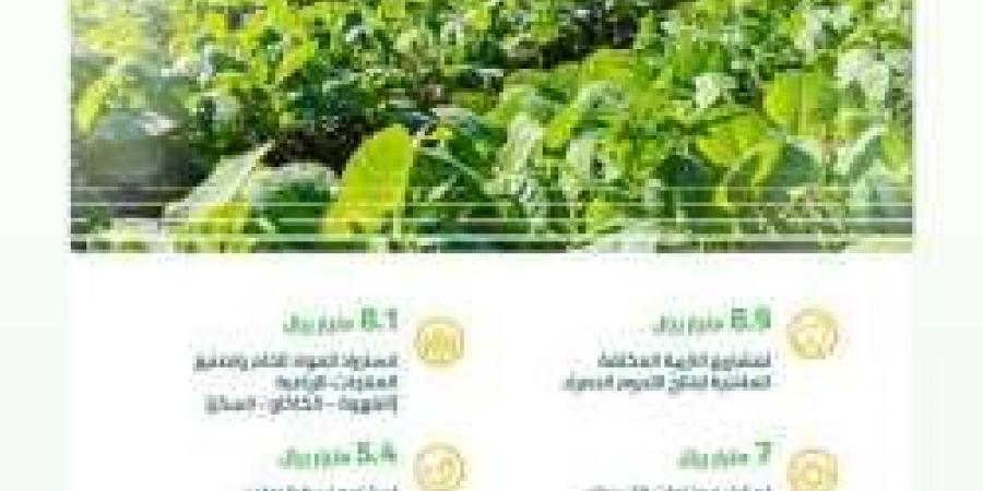 البيئة: استثمارات بنحو 37 مليار ريال للقطاع الخاص للمساهمة في تطوير واستدامة قطاع الزراعة والأغذية في المملكة - ترند نيوز