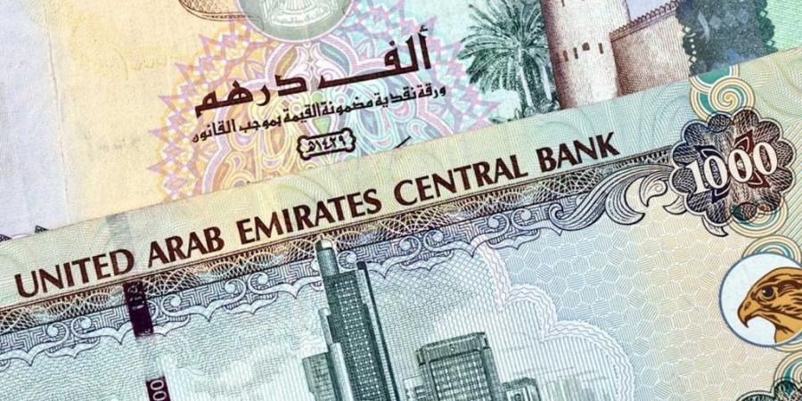 سعر الدرهم الإماراتي خلال التعاملات المسائية اليوم الجمعة - ترند نيوز