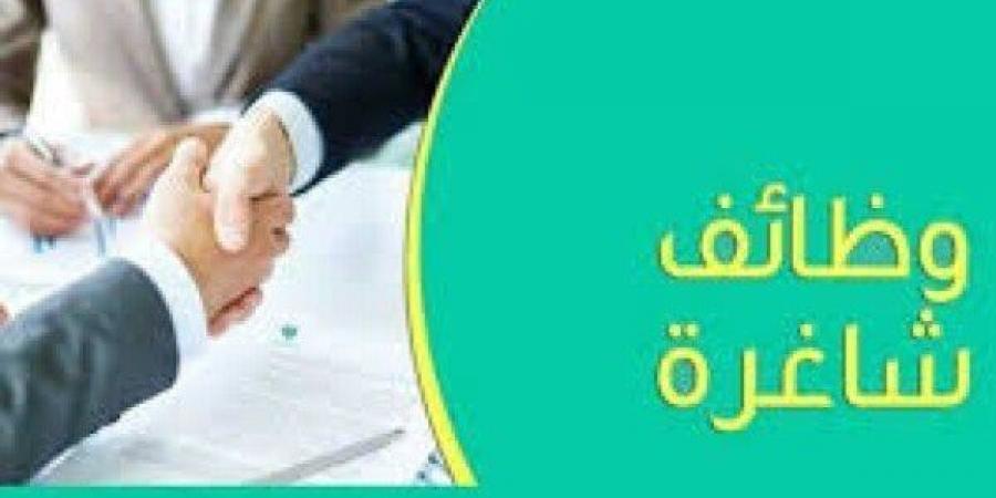 وظائف محافظة الجيزة.. موعد ورابط التقديم - ترند نيوز