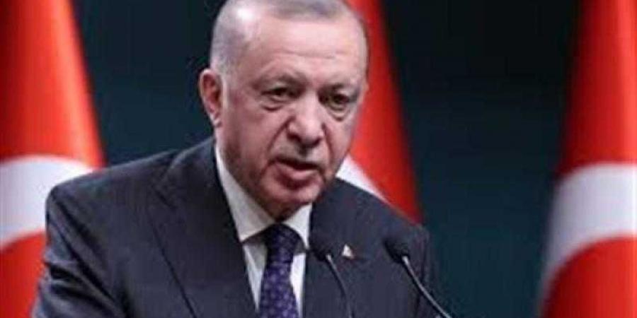 أردوغان: إسرائيل تهدف لإلغاء حل الدولتين وتدمير الوجود الفلسطيني - ترند نيوز