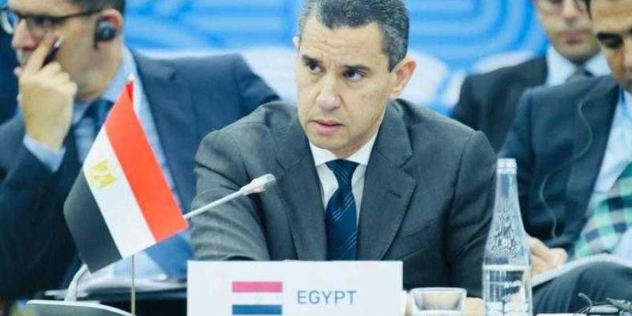 الممثل الشخصى للرئيس السيسى يرأس وفد مصر للاعداد لقمة العشرين فى البرازيل - ترند نيوز