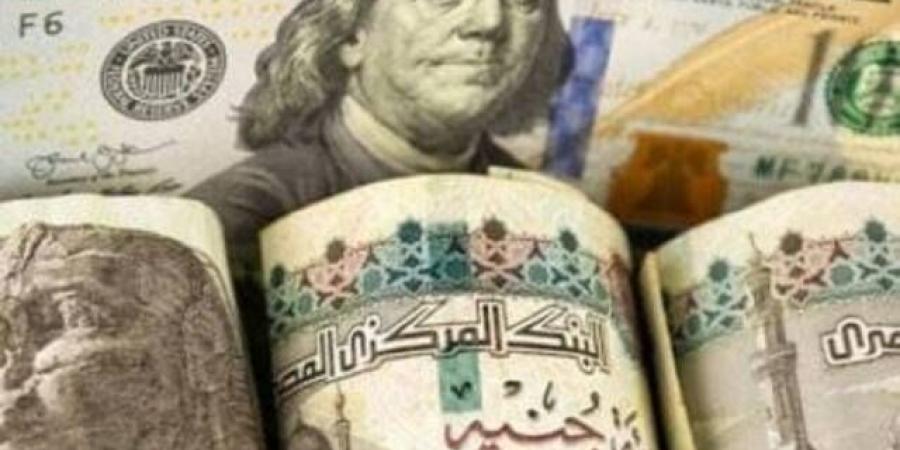 منظمة العمل الدولية: ارتفاع الأجور 1.8% بجميع أنحاء العالم في 2023 - ترند نيوز