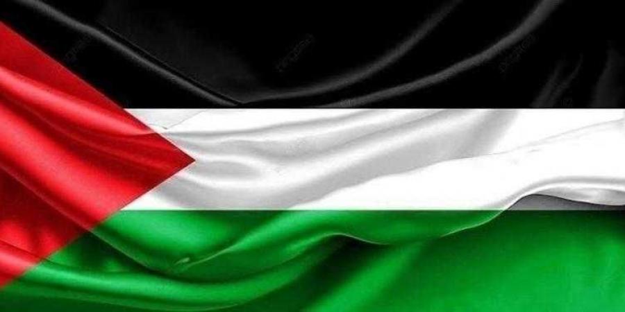 مصر تحيي اليوم الدولي للتضامن مع الشعب الفلسطيني - ترند نيوز