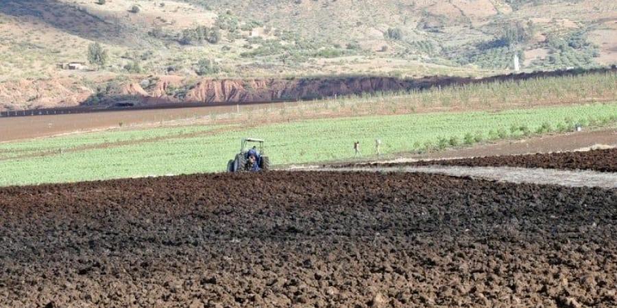 تقرير يكشف تأثيرات تغير المناخ على المغرب وحوض البحر المتوسط - ترند نيوز