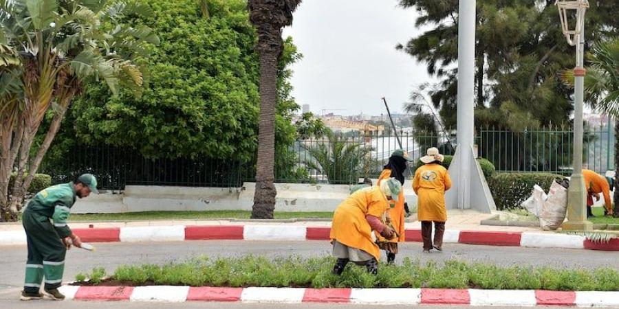 مطالب تروم إنصاف "عمال الإنعاش" - ترند نيوز