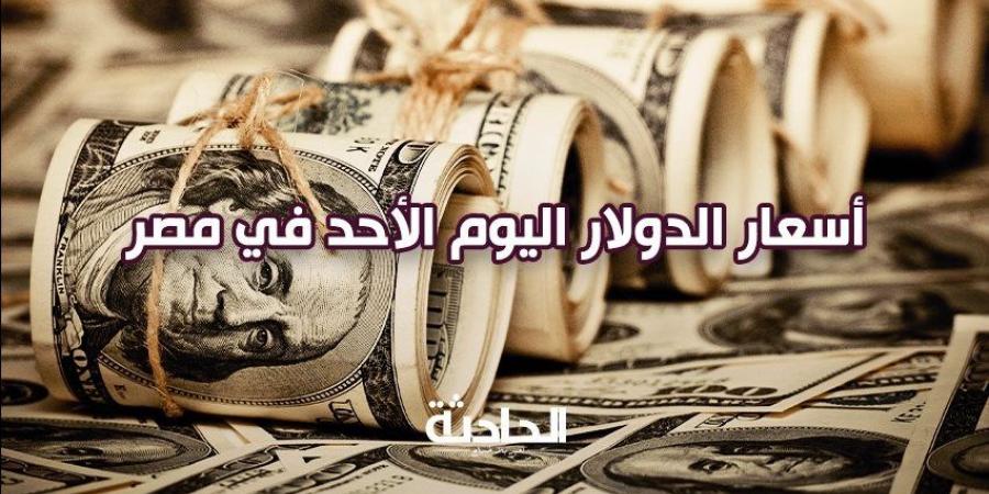 اتغابى.. سعر الدولار اليوم الأحد في مصر 8 ديسمبر 2024 تجاوز الـ50 - ترند نيوز