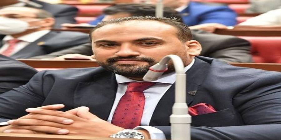 النائب محمد الرشيدي: استيلاء إسرائيل على المنطقة العازلة مع سوريا انتهاك صارخ للقوانين الدولية ويثمن مطلب مصر بتدخل مجلس الأمن - ترند نيوز