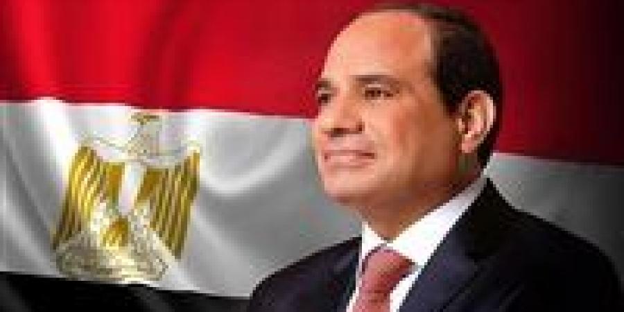 الرئيس السيسي يصل إلى القصر الملكي بأوسلو للقاء ملك النرويج وولي العهد