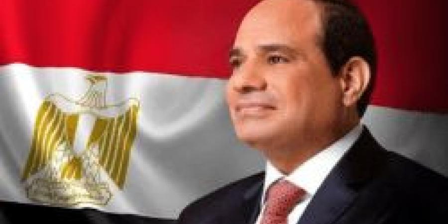 بحضور الرئيس السيسي.. مباحثات مصرية أيرلندية لتعزيز التعاون في مختلف المجالات - ترند نيوز