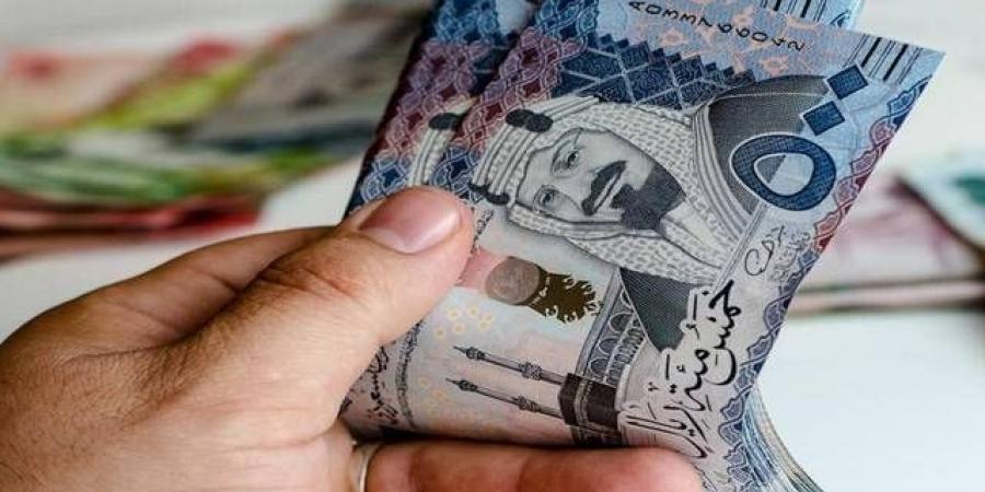 "نت وركرس" تجدد اتفاقية تسهيلات ائتمانية مع "بي إس إف" بـ55.2 مليون ريال - ترند نيوز