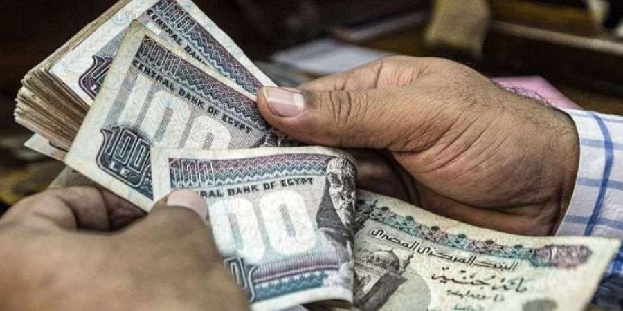 التضامن توجه بصرف التعويضات لأسر ضحايا عقار العباسية وتتلقي 168 استفسارا - ترند نيوز