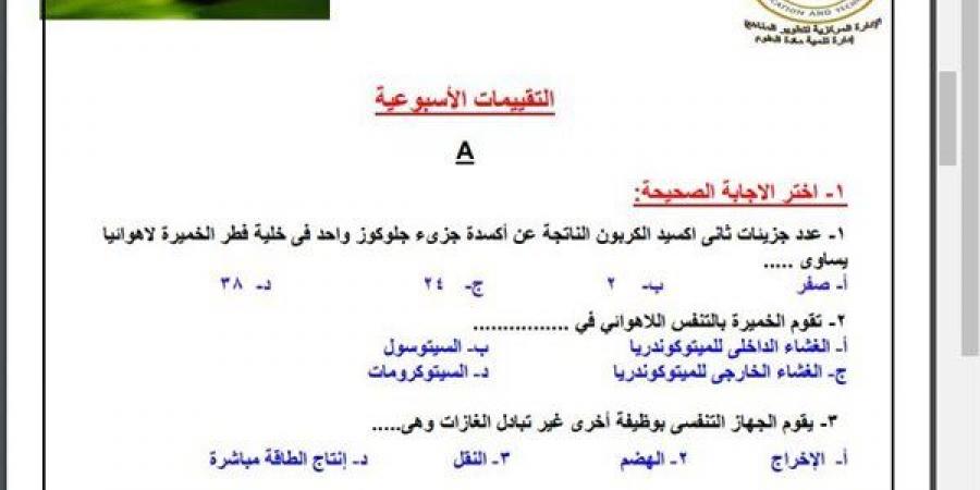 مراجعات نهائية.. أسئلة تقييم الأسبوع الـ 12 الأحياء الصف الثاني الثانوي - ترند نيوز