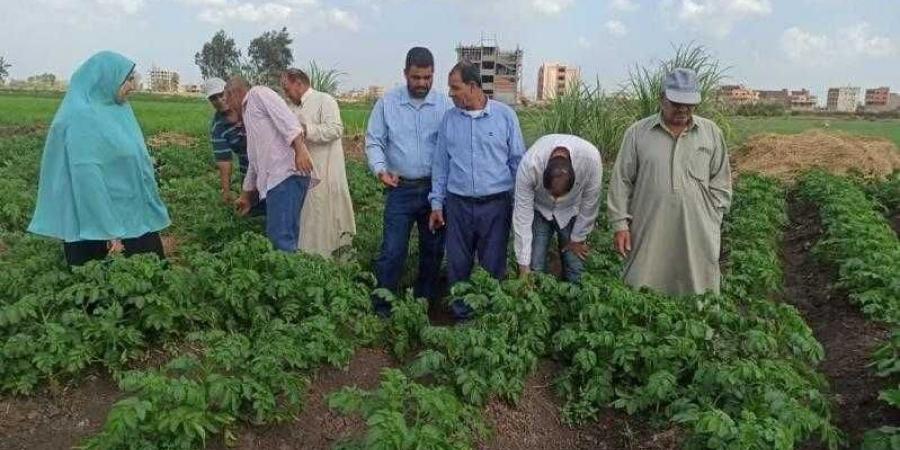 البحوث الزراعية يستعرض حصاد أنشطة مبادرة المراكز الإرشادية الزراعية خلال شهر نوفمبر 2024 - ترند نيوز