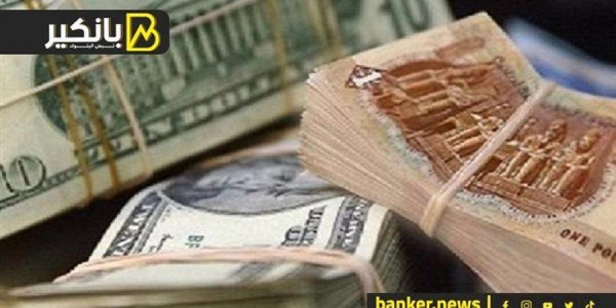 جولدمان ساكس يتوقع ارتفاع سعر صرف الجنيه المصري مقابل الدولار بحلول أوائل عام 2025 - ترند نيوز