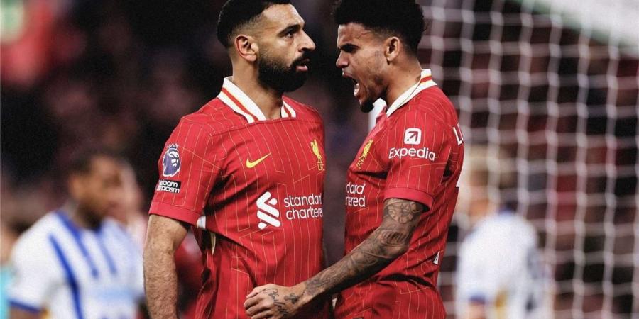 فيديو | صاروخية محمد صلاح تفوز بجائزة هدف شهر نوفمبر في ليفربول - ترند نيوز