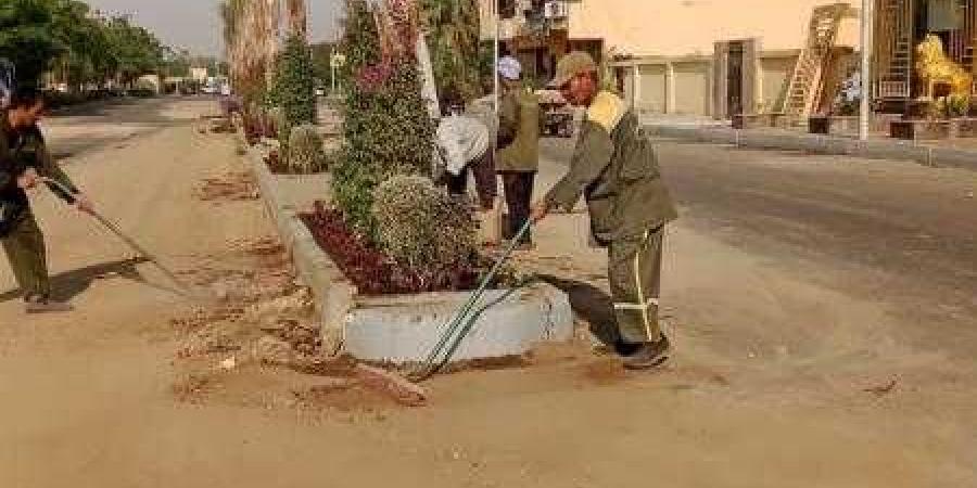 بدء تنفيذ أعمال تطوير وتشجير الجزيرة الوسطى في شارع سلمي سليم بالأقصر - ترند نيوز