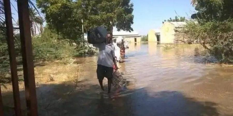 السر بجبل الأولياء كشف تفاصيل كارثة بالنيل الأبيض في السودان تصيب الأهالي بالذعر