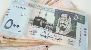 للمغتربين: اسعار صرف الريال السعودي امام الجنيه المصري في البنوك والسوق السوداء اليوم 26 ديسمبر 2024