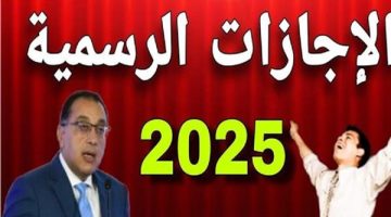 هام للملايين في مصر 11 يوم إجازة في يناير 2025: عطلات رسمية للجميع في البنوك والمدارس وهيئة البريد المصري والمصالح الحكومية  اكتشف موعد راحتك!