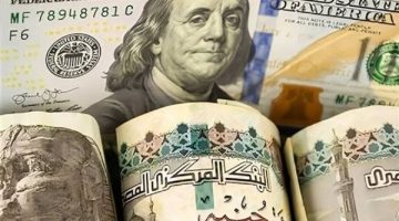 الأخضر يحتل الصدارة : سعر الدولار في السوق السوداء بعد إنخفاضة بـ17 بنكاَ بعطلات البنوك اليوم 100 دولار بكام من الـATM؟