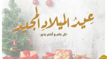 تنسيقية شباب الأحزاب السياسين تهنئ البابا تواضروس بعيد الميلاد المجيد