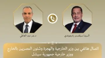 وزير الخارجية يؤكد حرص مصر على تعزيز التعاون والشراكة مع سيشل